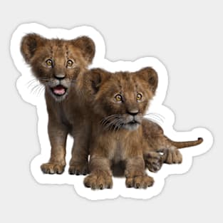 Lion cubs Sticker